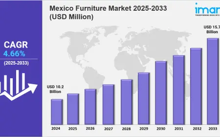 Mexico Furniture Market is Expected To Grow at a CAGR of 4.66% During 2025-2033