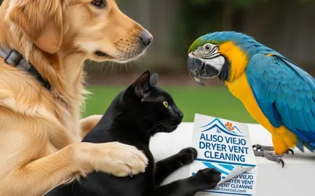 Why Is Humane Pets and Bird Removing Important in Aliso Viejo?