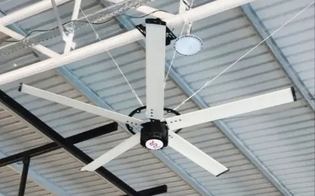 HVLS Ceiling Fans vs Traditional Ceiling Fans: Which One Is Right for Your Facility?