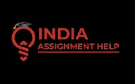 Online Assignment Expert – Your Trusted Partner in Academic Success