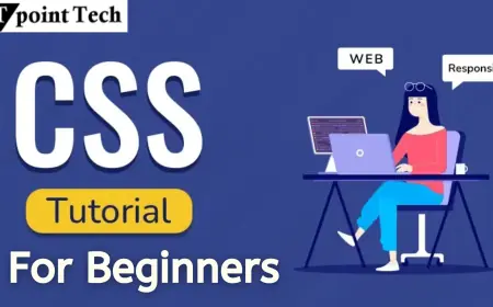 Master the Basics of CSS – Beginner Tutorial