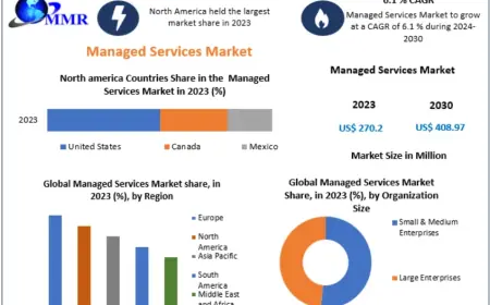 Why Are SMEs Turning to the Managed Services Market for IT Solutions?