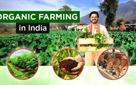 What are The Organic Farming Types and Methods of Farming