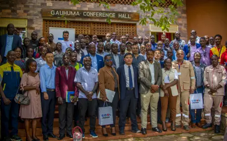 Form Joint Ventures to Win Oil And Gas Contracts, PAU Urges Local Suppliers