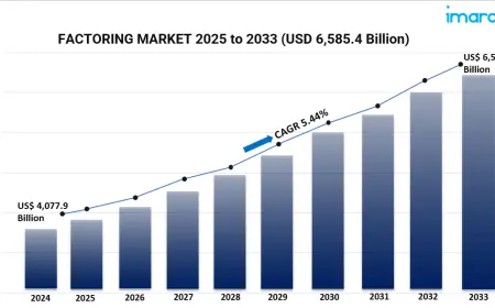 Global Factoring Market Trends 2025-2033: Driving Financial Flexibility for SMEs Worldwide