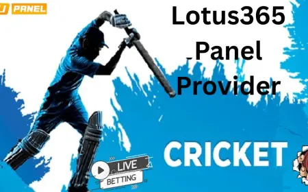 Top Benefits of Using JMDPanel as Your Lotus365 Panel Provider