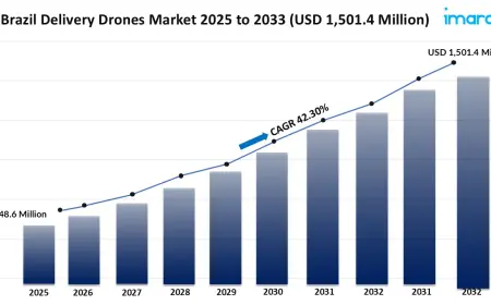Brazil Delivery Drones Market Size, Share, Growth, Trends, Report 2025-2033