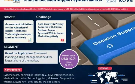 Clinical Decision Support System (CDSS) Market Research 2024–2030: Growth, Size & Opportunities