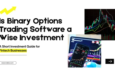 Is Binary Options Trading Software a  Profitable Investment For Fintech Businesses?