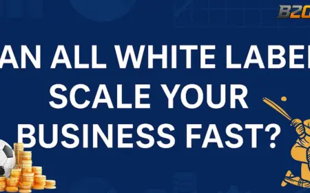 Can All White Label Scale Your Business Fast? – B2CPanel