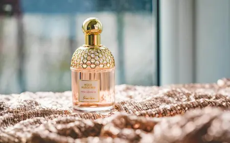 Chypre Meaning Explained: The Story Behind Perfumery’s Most Elegant Family