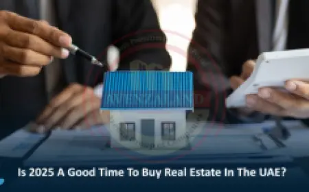 Are Airbnb Rentals Still Profitable in 2024? The Latest Trends