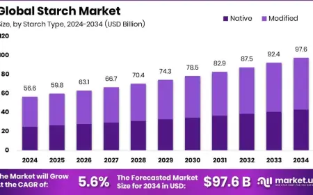 Starch Market Global Growth Opportunities and Challenges
