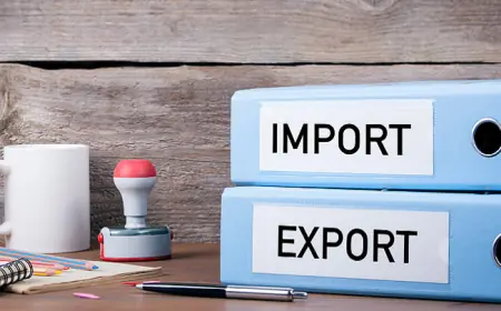 Think Big, Trade Smart: Skills Every Import & Export Student Learns