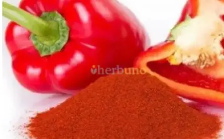 Stop Using Regular Chili Powder—Red Capsicum Powder Might Be the Healthier Choice