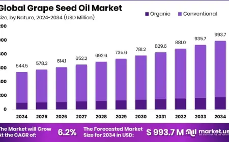 Grape Seed Oil Market Value Chain Analysis and Pricing Structure