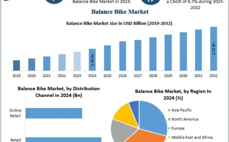 Balance Bike Market Segmentation and Competitive Landscape 2032