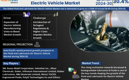 Fluid and Lubricants for Electric Vehicle Market Research 2024–2030: Growth, Size & Opportunities
