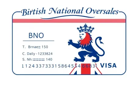 The BNO Visa Pathway: Your Comprehensive Guide to the UK's Hong Kong Visa Route