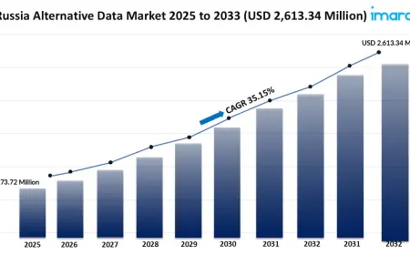 Russia Alternative Data Market Size, Share, Growth, Trends, Report 2025-2033