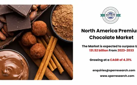 Opportunities and Risks in North America Premium Chocolate Market Scope