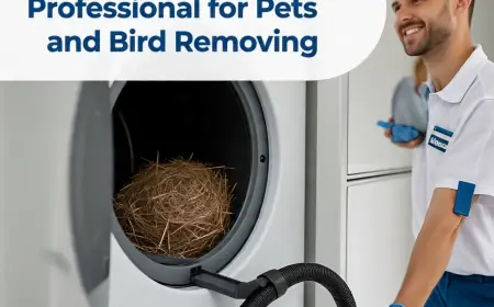 When Should You Call a Professional for Pets and Bird Removing