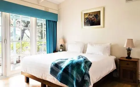 Sip, Stay, and Sparkle: Chauffeur Drive Melbourne Yarra Valley Unveils Luxe Domaine Chandon Getaway