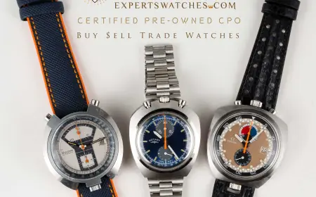 Watch Travel Cases: Rugged Protection for the Jet-Setting Collector