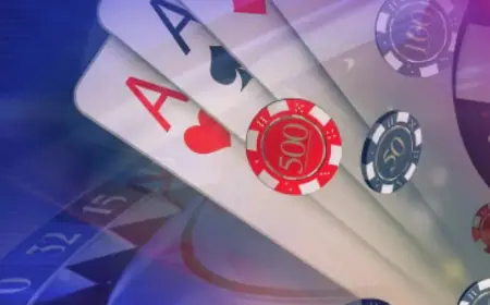 Playexch – India’s Fastest-Growing Online Betting Platform