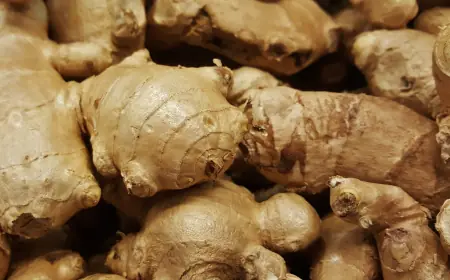 Asia Pacific Ginger Market to Reach US$ 2.72 Billion by 2033, Driven by Health Awareness and Expanding Food & Beverage Industry