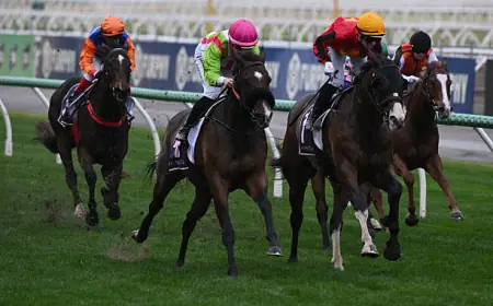 Race Smarter: How to Secure the Best Caulfield Racing Tips Result