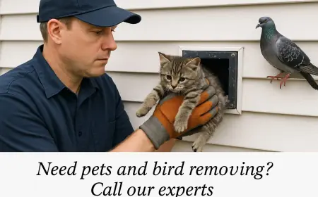 When Is Pets and Bird Removing from Dryer Vents Needed in Philadelphia