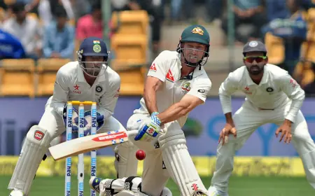 More Than a Game: Life Lessons from the Cricket Pitch