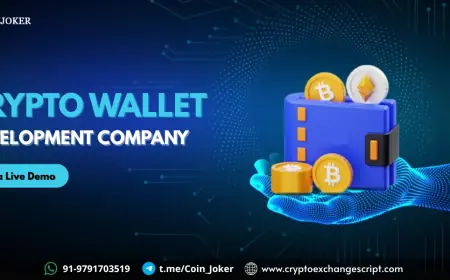 AI-Powered Crypto Wallet Development: Smart Portfolio Management & Predictive Insights