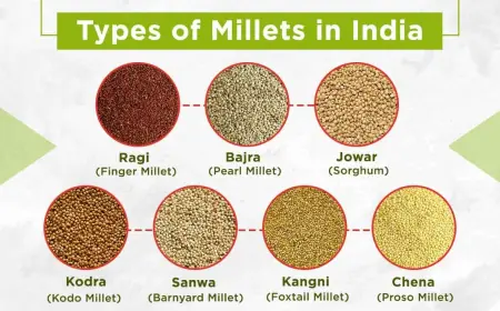 Discover Millet and Its Various Types, and Learn How to Cultivate It in India