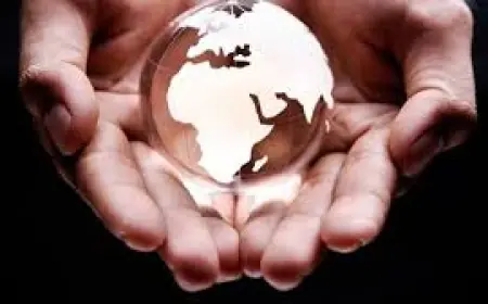 MEA Property Insurance Revenue Forecast to 2030