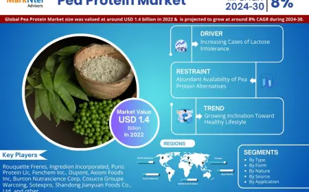 Pea Protein Market Research 2024–2030: Growth, Size & Opportunities