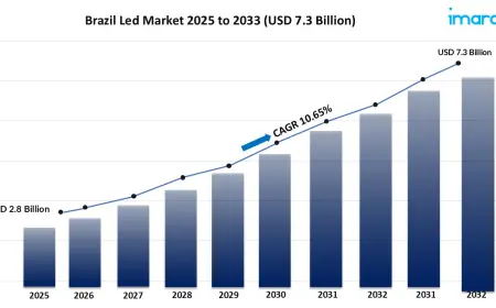 How Is Brazil LED Market Growing between 2025 and 2033?