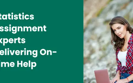 Statistics Assignment Experts Delivering On-Time Help