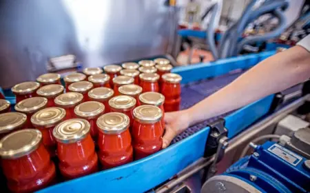 Canned Soup Manufacturing Business Plan 2025: Project Cost, Raw Materials Requirement and Profit Margin