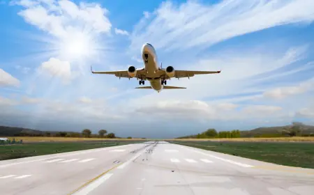 Flights From Houston to Las Vegas – Your Complete Companion to Booking, Airlines, & Travel Tips