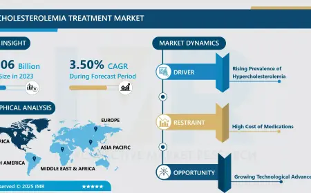 Hypercholesterolemia Treatment Market Size Worth USD 27.34 Billion By 2032 | Growth Rate (CAGR) Of 3.50%