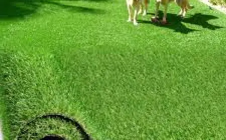 Guía detallada de precios del césped artificial: Todo lo que debes saber