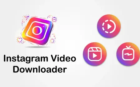 Download Instagram Videos Fast and Easily with ToolDL