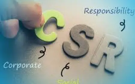 Ensuring Transparency and Accountability through CSR Financial Audit