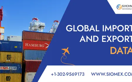 What to Expect from a Trusted Data Provider Company