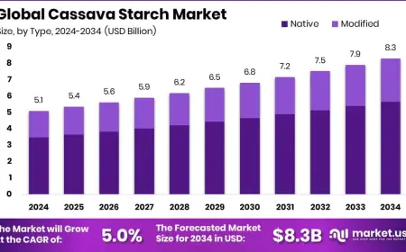 Cassava Starch Market Historical Analysis and Forecast to 2034