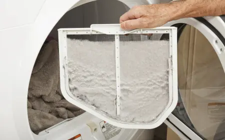 Where to Seek Professional Dryer Vent Cover Replacement Near Bradenton
