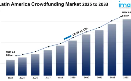Latin America Crowdfunding Market Analysis 2025-2033