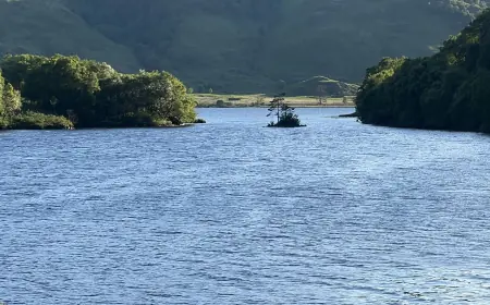 Gear Up for the Wild: Must-Have Essentials for a Comfortable Outdoor Escape